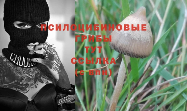 мескалин Нея